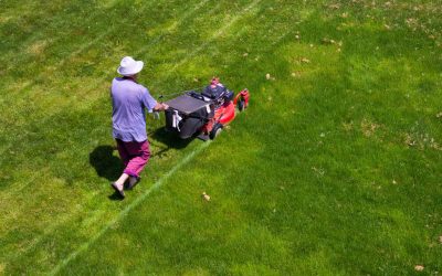 Keep Grass Vibrant All Season Using a Lawn Fertilization Service in Alpharetta, GA