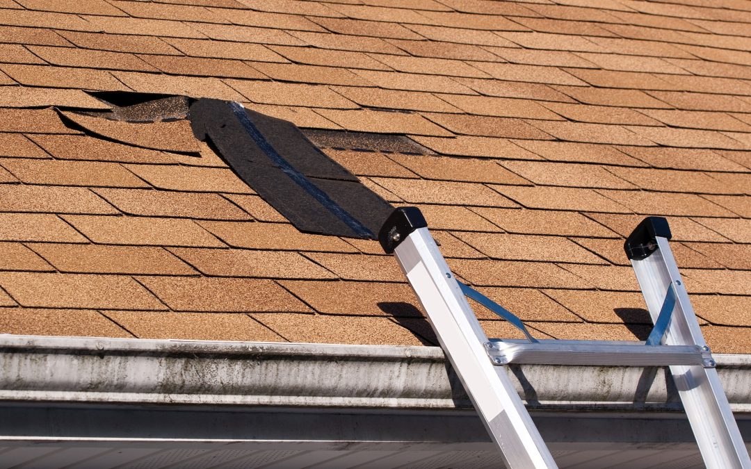 Restore Peace of Mind After Storms with Roof Leak Repair in Haines City, FL, Assistance