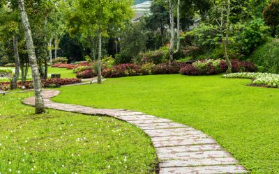 Achieve Lush Landscapes With Reliable Support From Mulch Companies in Sussex, WI