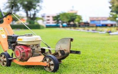 Achieve Low Maintenance Lawns with Drought Tolerant Bermudagrass in Murrieta, CA, in Mind