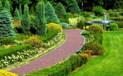 Transform Your Outdoor Space with Landscaping in Edina, MN for Lasting Curb Appeal