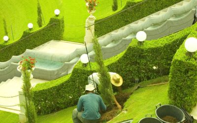 Smart Solutions for Small Yards with Guidance from a Landscape Designer in Seattle, WA