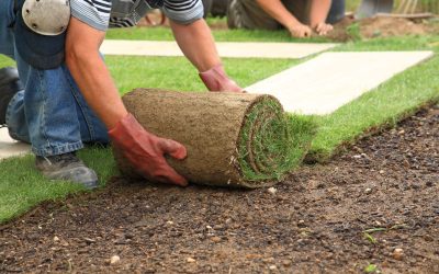 The Benefits of Choosing Fake Grass Naples, FL for Water Saving and Curb Appeal