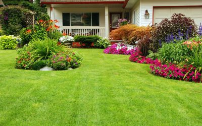 Save Time This Season by Choosing Expert Lawn Care in Minnetonka, MN Advice