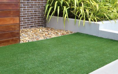 Bermuda Grass Lawn Care Murrieta CA: A Practical Guide for Choosing the Right Service